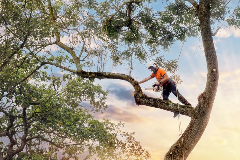 Tree Care Services