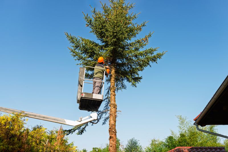 Products For Tree Care Service in use