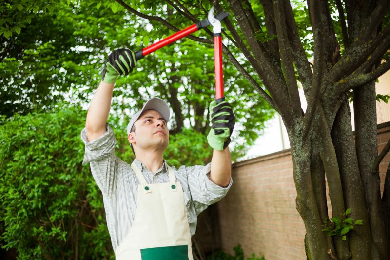 Tree Care Service Costs — Cost of Tree Care Services