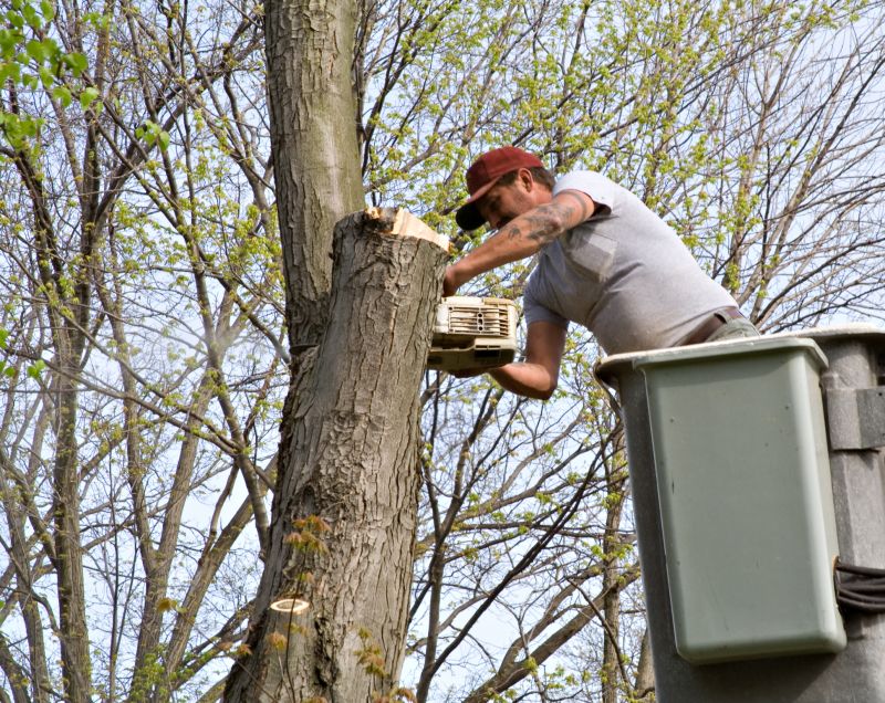 Tree Care Services