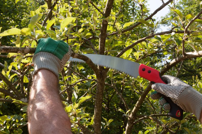 Pruning for Tree Health