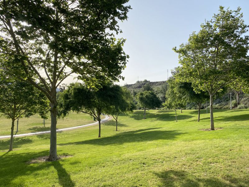 Landscaping and Maintenance Teams