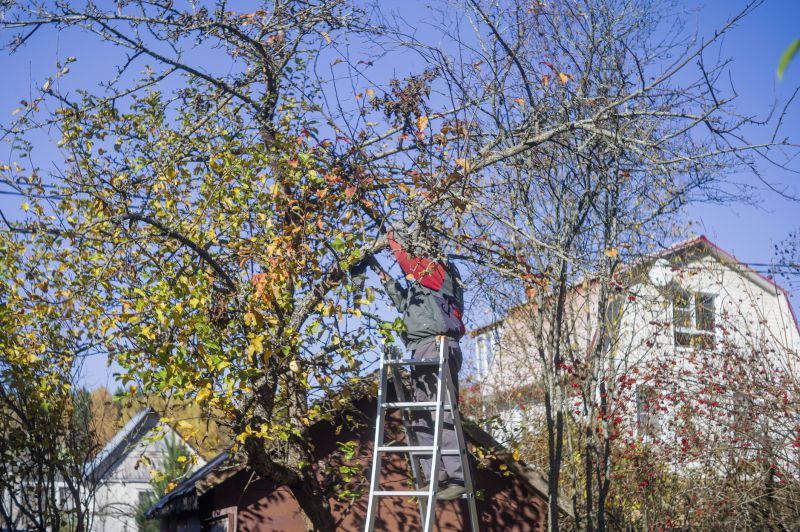 Contact About Tree Care Services